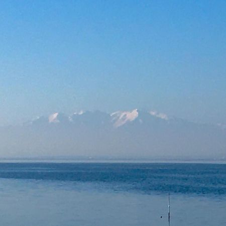 Bella Vista ,Acces Direct Plage, Front De Mer, Vue Mer Panoramique Le Barcarès Zewnętrze zdjęcie
