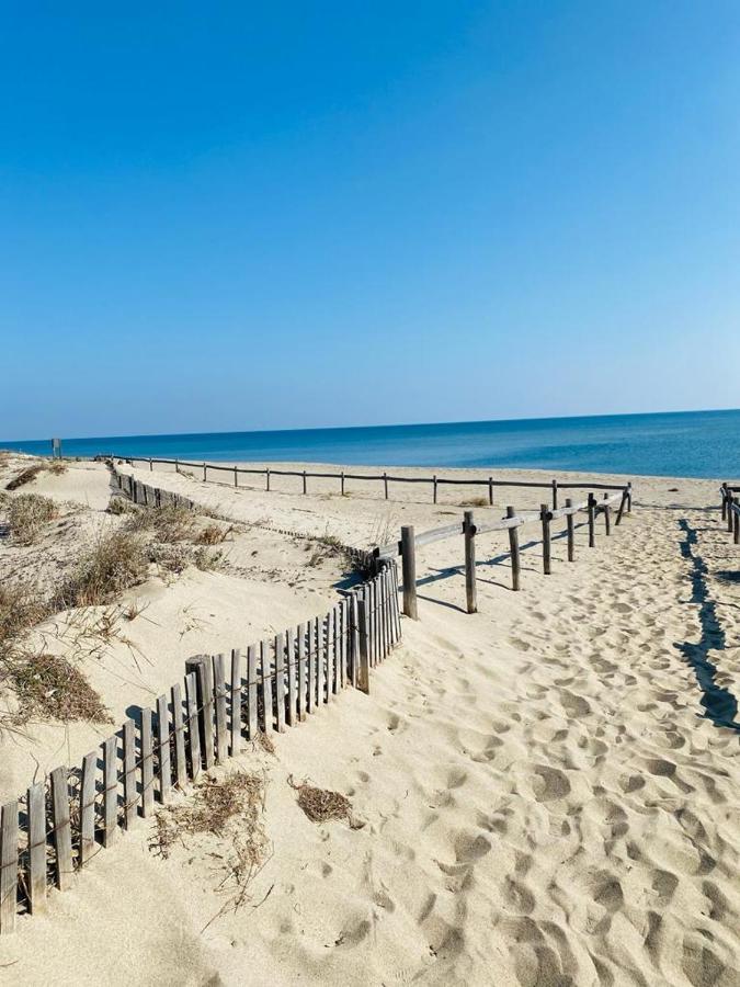 Bella Vista ,Acces Direct Plage, Front De Mer, Vue Mer Panoramique Le Barcarès Zewnętrze zdjęcie